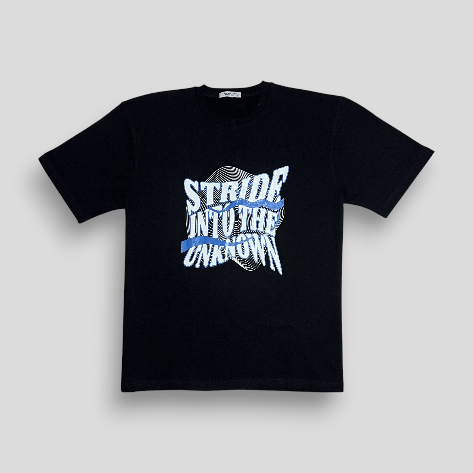 Black t-shirt with the text 'Stride Into The Unknown' printed in a bold, dynamic typography design.
